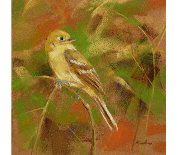 Randena Walsh "Pacific-Slope Flycatcher"